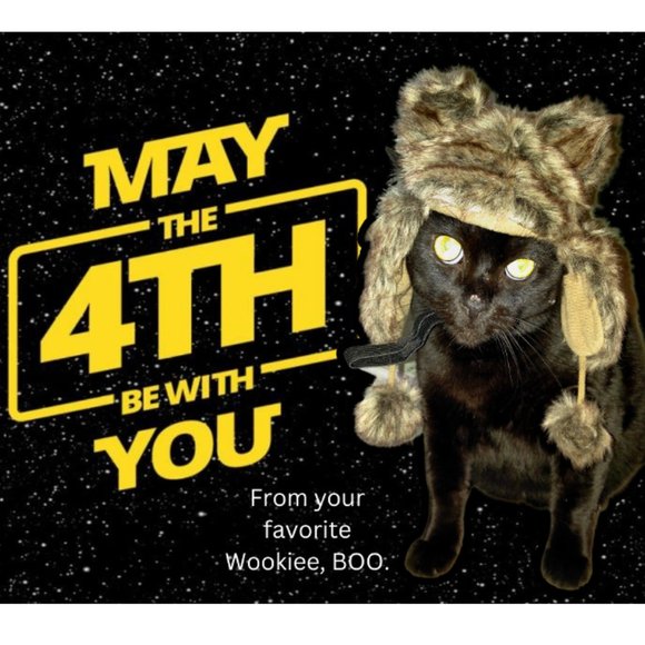Accessories - May the Fourth be with You